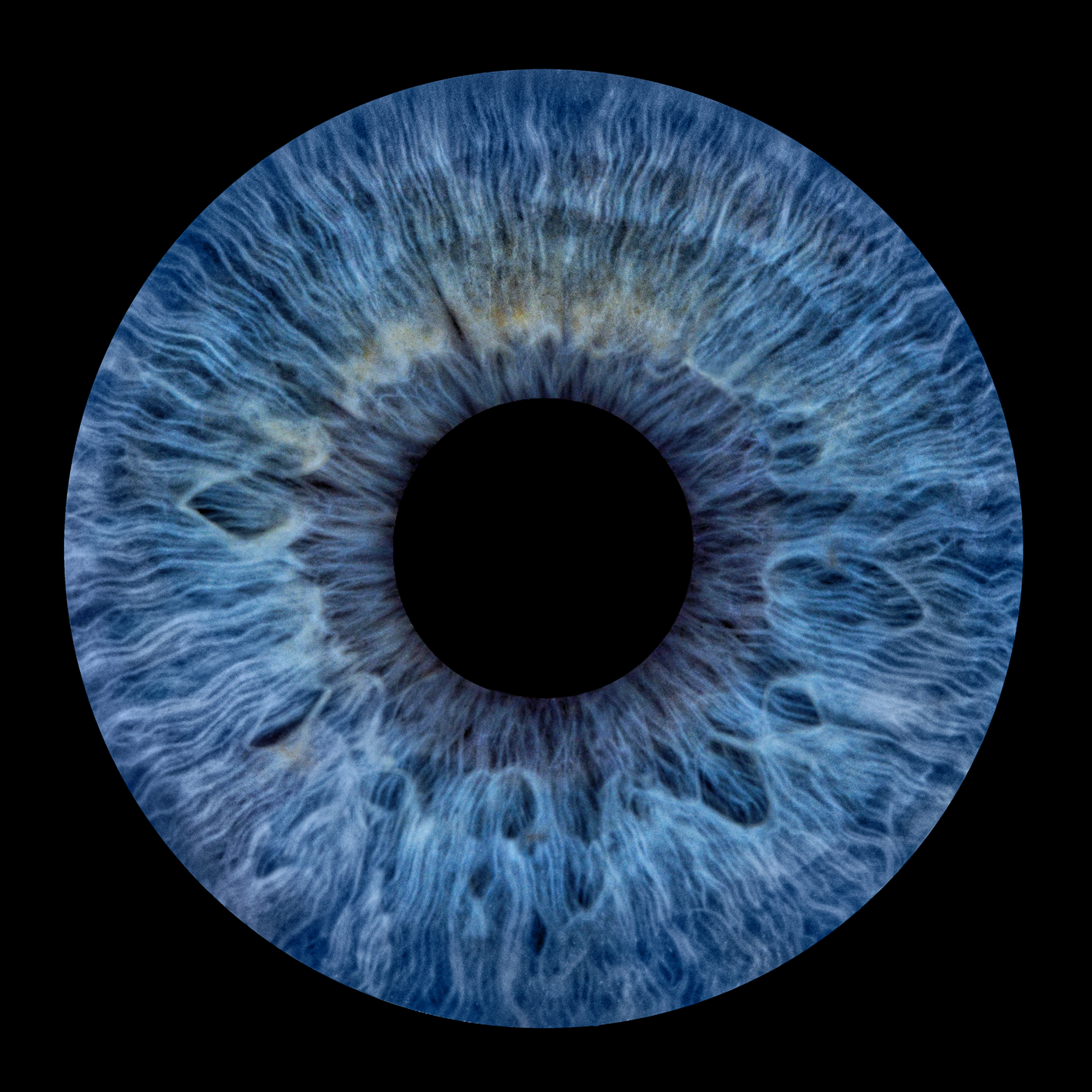 Natürliche blaue Iris