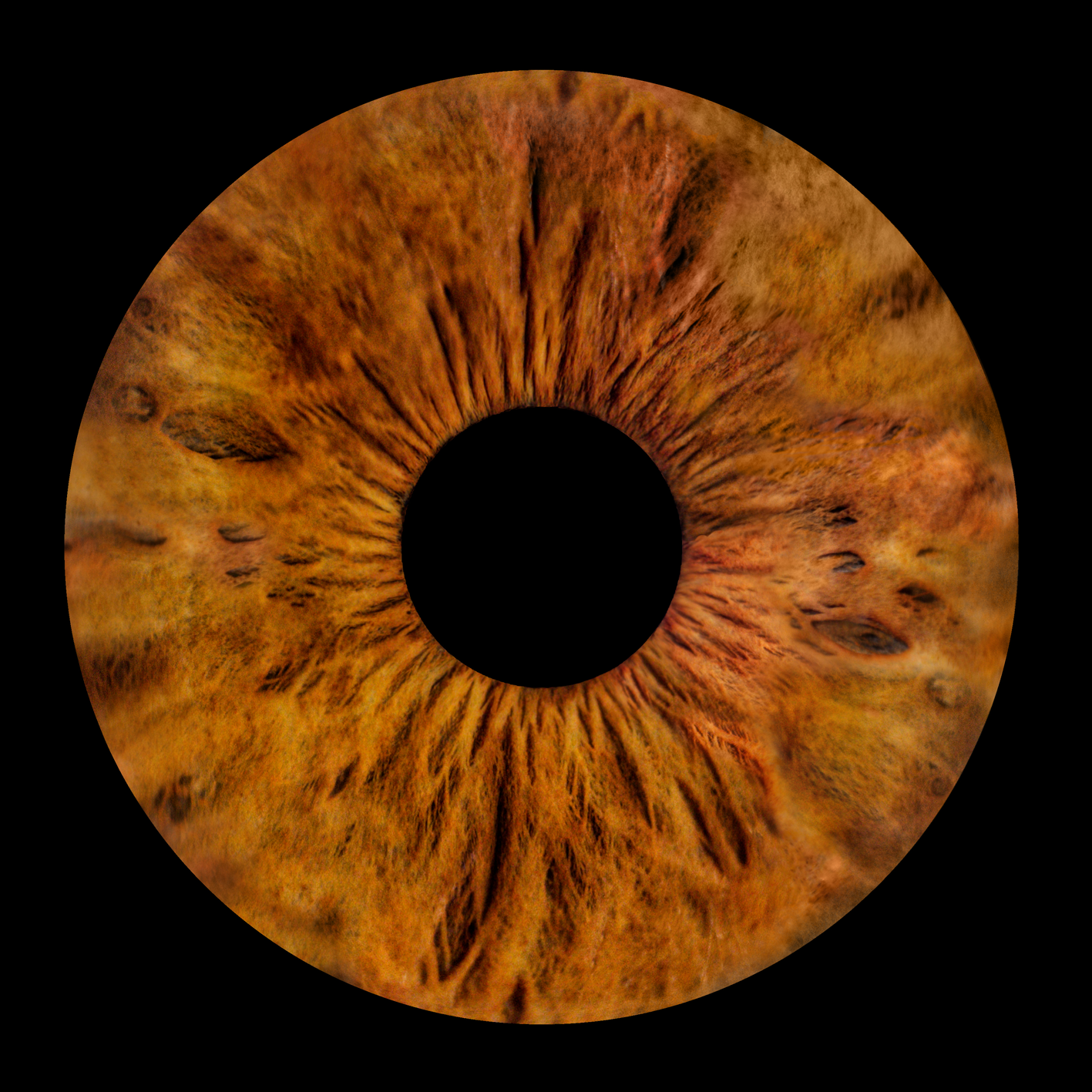 Blau-goldene natürliche Iris