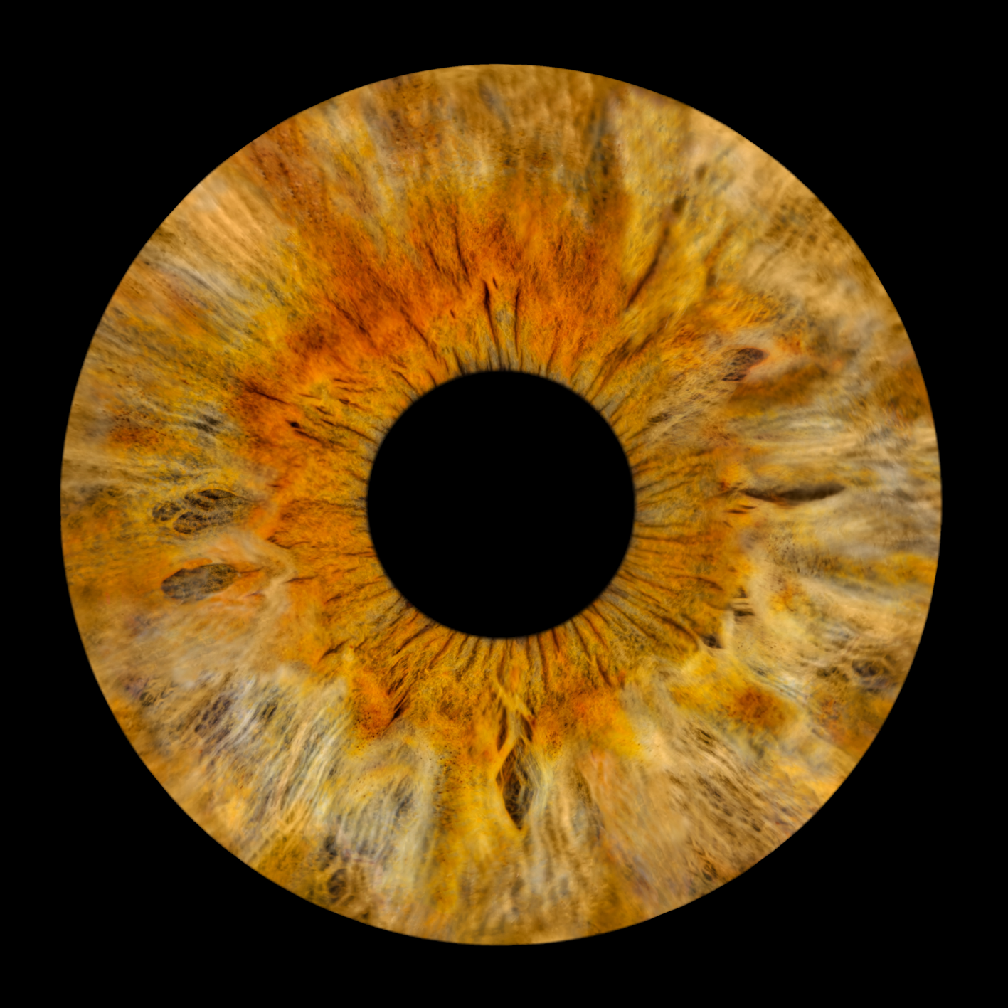 Naturbelassene blau-goldene Iris